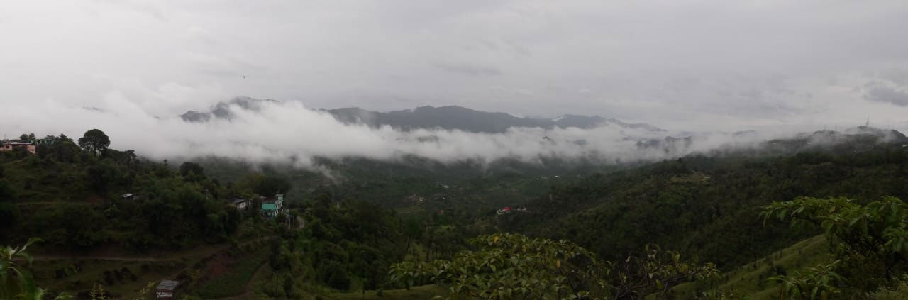 The Fogg